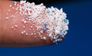 Mikroplastik