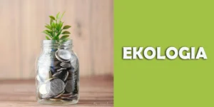Ekologiczne metody ogrzewania