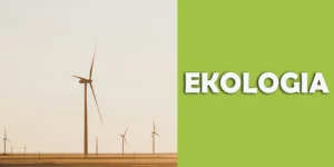 Reforma rynku energii